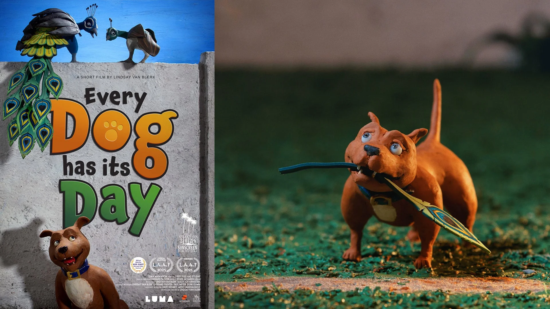 Still from Everydog Has Its Day